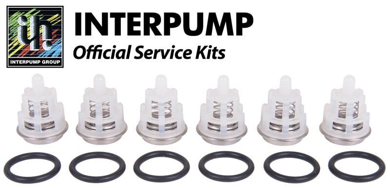 Interpump Kit 123 Valve Kit